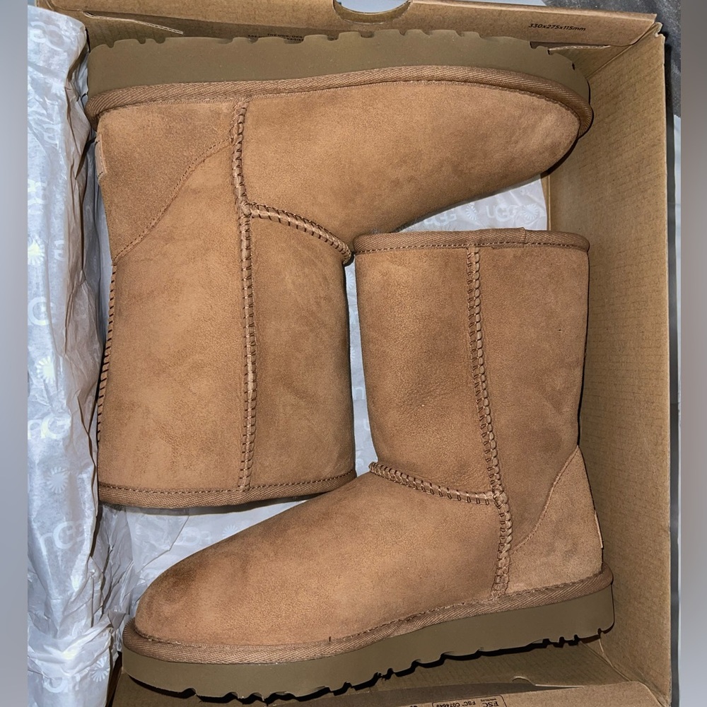 Brand New Chestnut Uggs